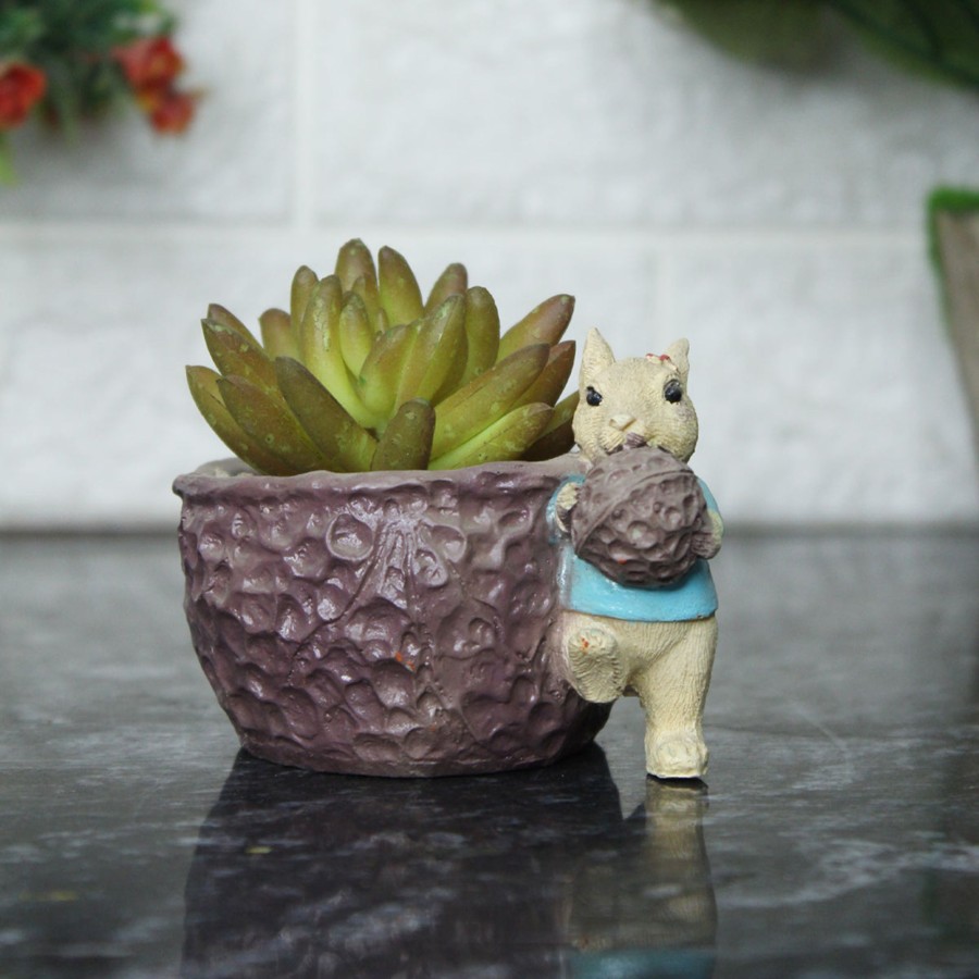 Garden Planters Wonderland | Squirrel With Nut Succulent Pot For Home And Balcony Decoration