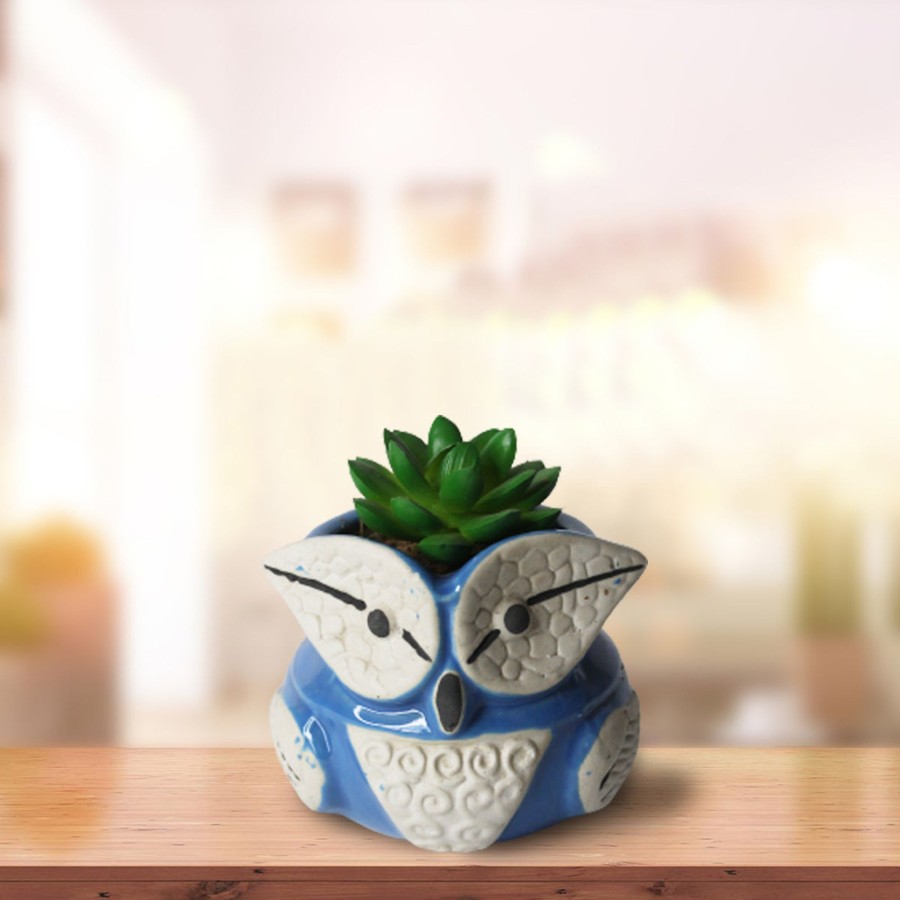 Garden Planters Wonderland Garden Arts and Craft | Ceramic New Owl Small Pot For Home Decoration (Blue)