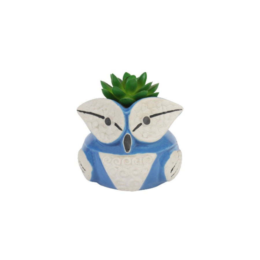 Garden Planters Wonderland Garden Arts and Craft | Ceramic New Owl Small Pot For Home Decoration (Blue)