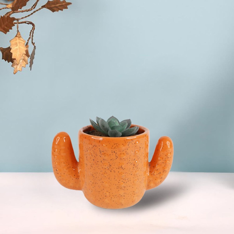 Garden Planters Wonderland | Ceramic Dotted Cactus Flower Pot (Orange)