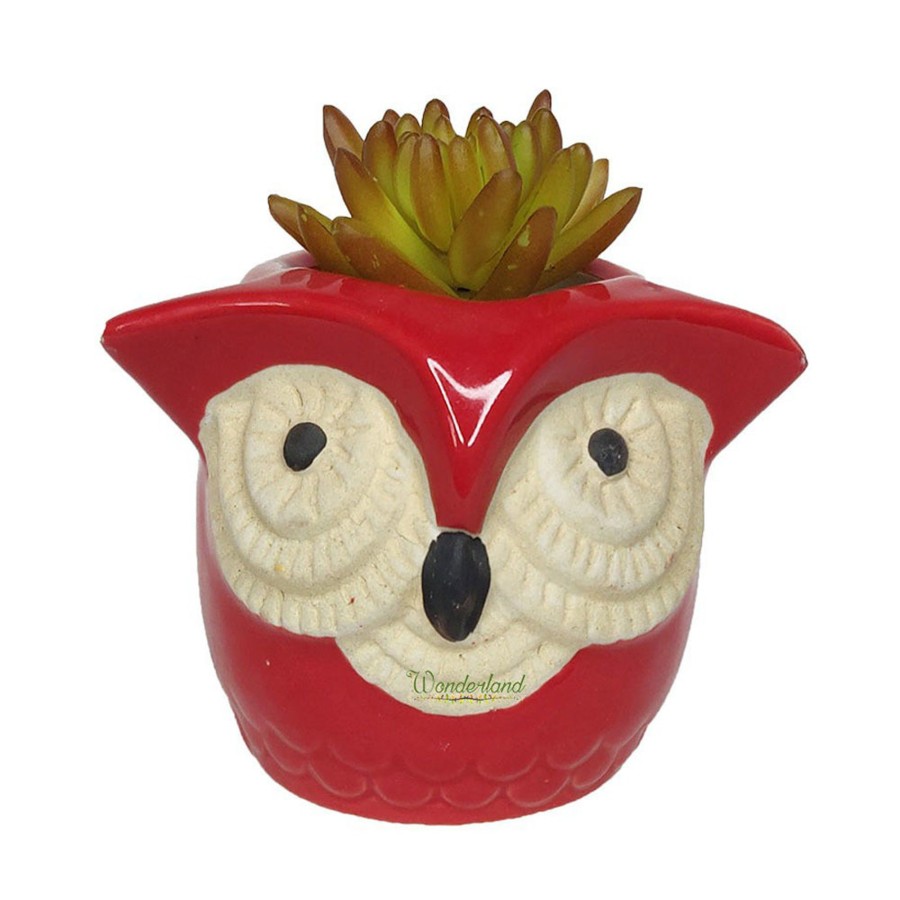 Garden Planters Wonderland | Big Eyes Owl Red Ceramic Succulent Pot For Home Decoration