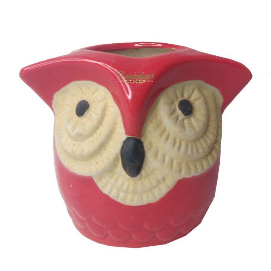 Garden Planters Wonderland | Big Eyes Owl Red Ceramic Succulent Pot For Home Decoration