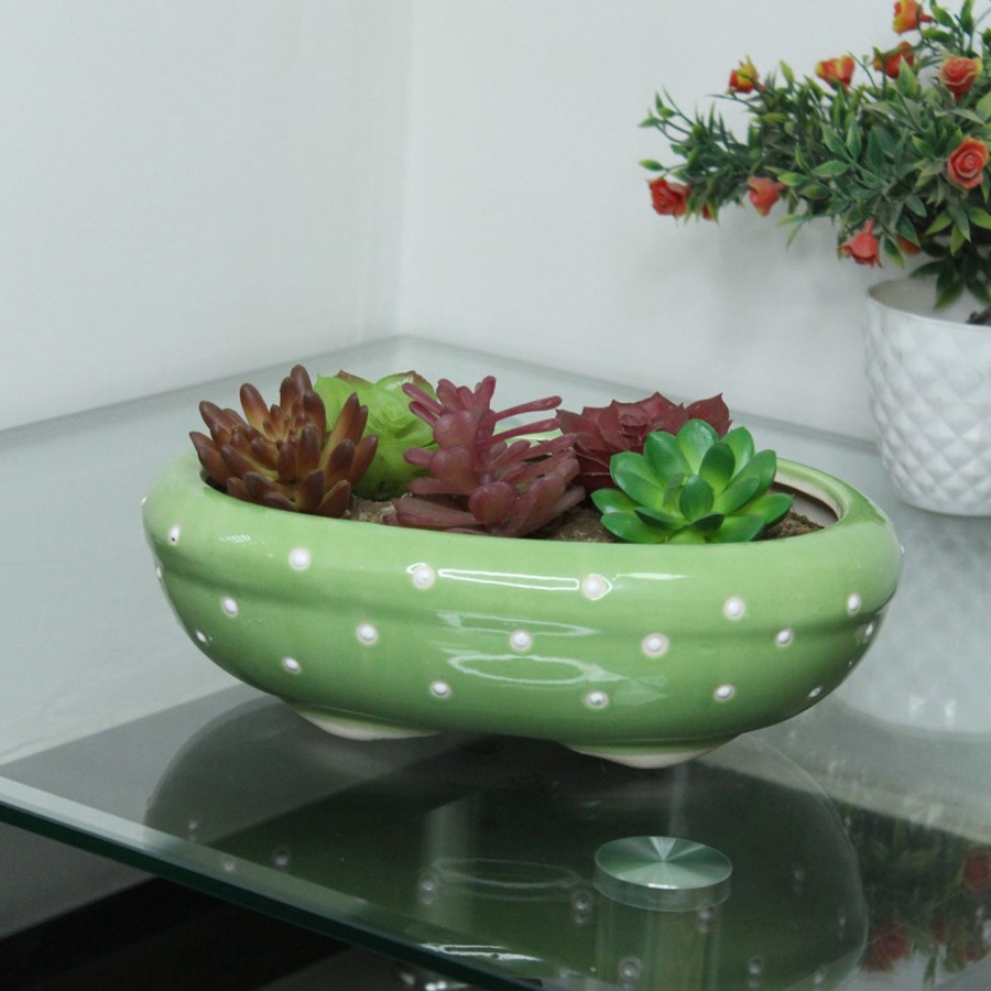 Garden Planters Wonderland | Ceramic Dotted Bonsai Tray Pot For Home Decoration (Green)