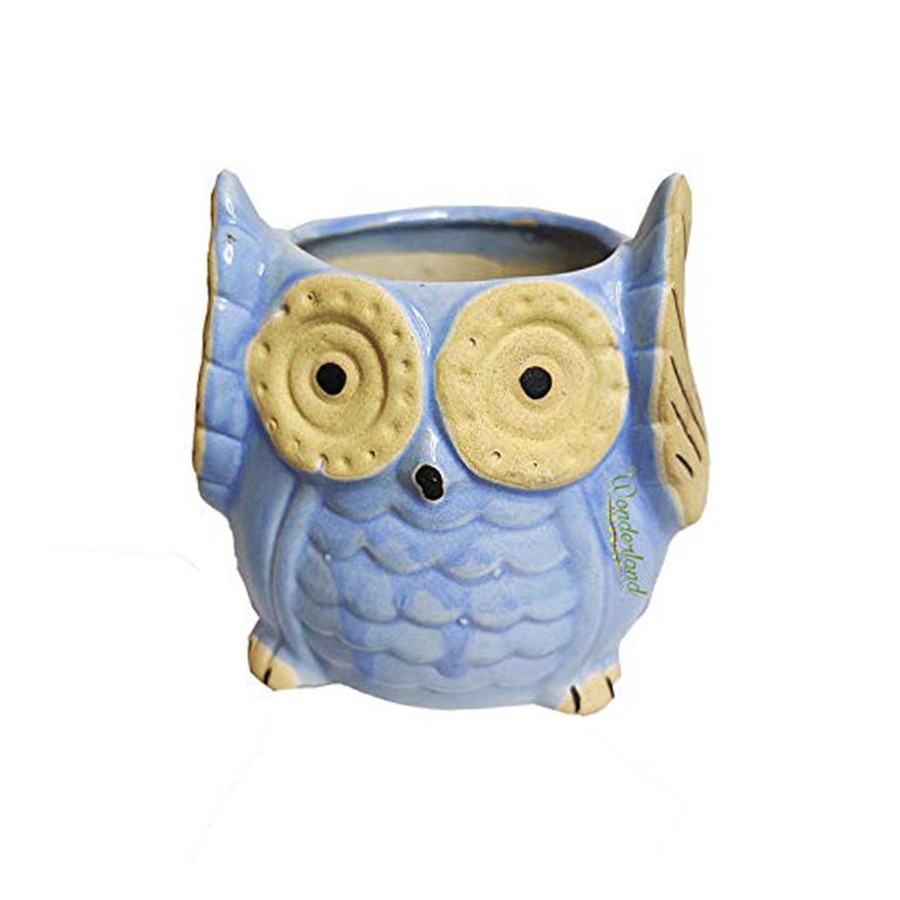 Garden Planters Wonderland | Ceramic Owl Pot For Home And Garden Decoration (Light Blue)