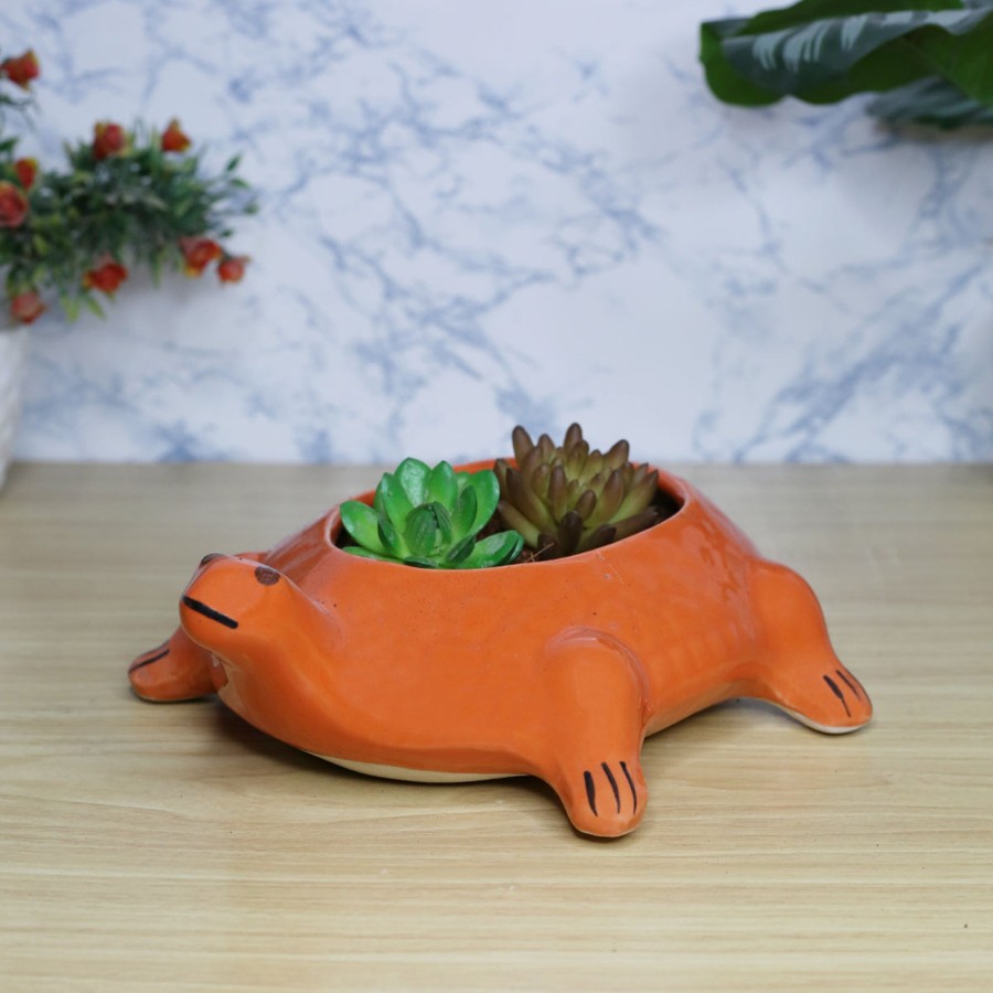 Garden Planters Wonderland | Turtle Ceramic Pot For Home And Balcony Decoration (Orange)