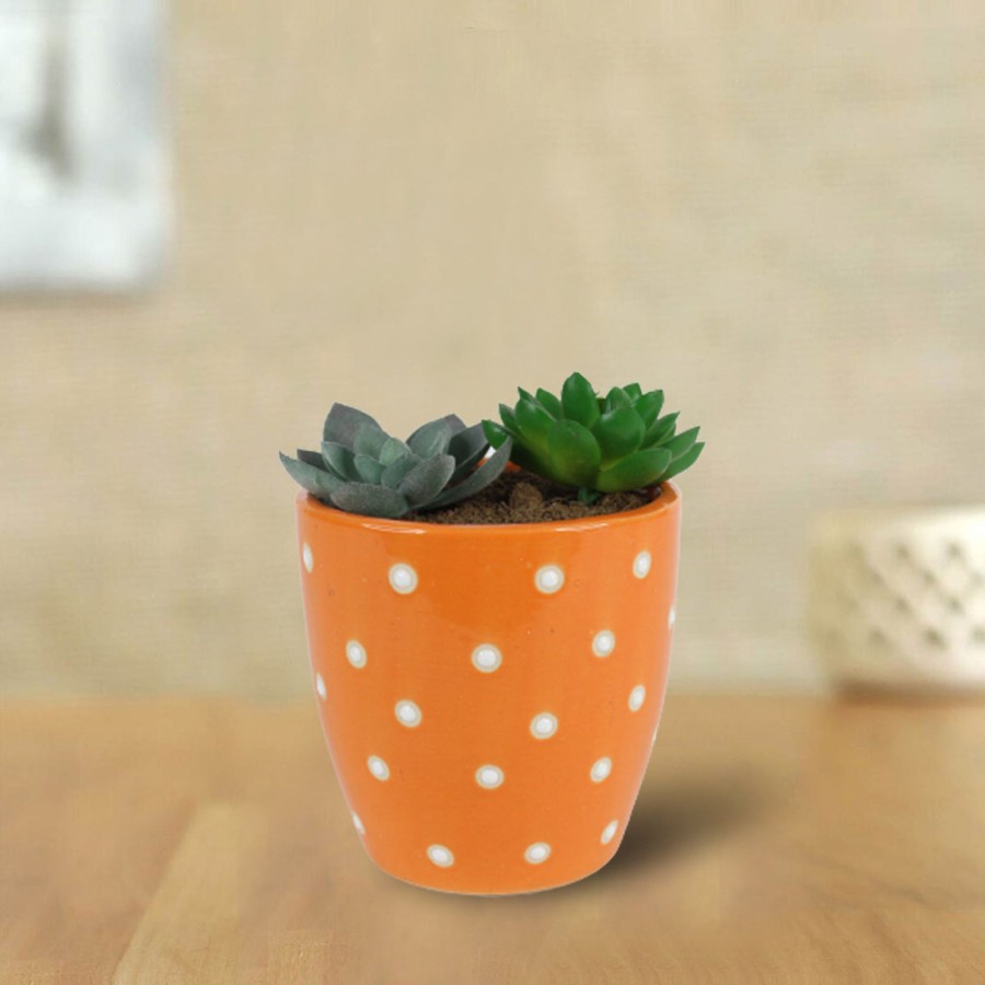 Garden Planters Wonderland | Ceramic Dotted Circular Flower Pot (Orange)