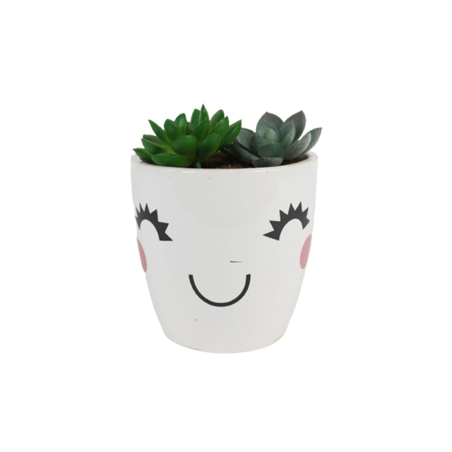 Garden Planters Wonderland Garden Arts and Craft | Ceramic Smiley Flower Pot For Home Decoration