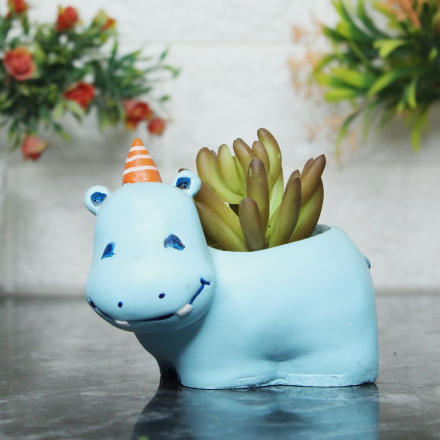 Garden Planters Wonderland | Blue Hippo Succulent Pot For Home And Balcony Decoration