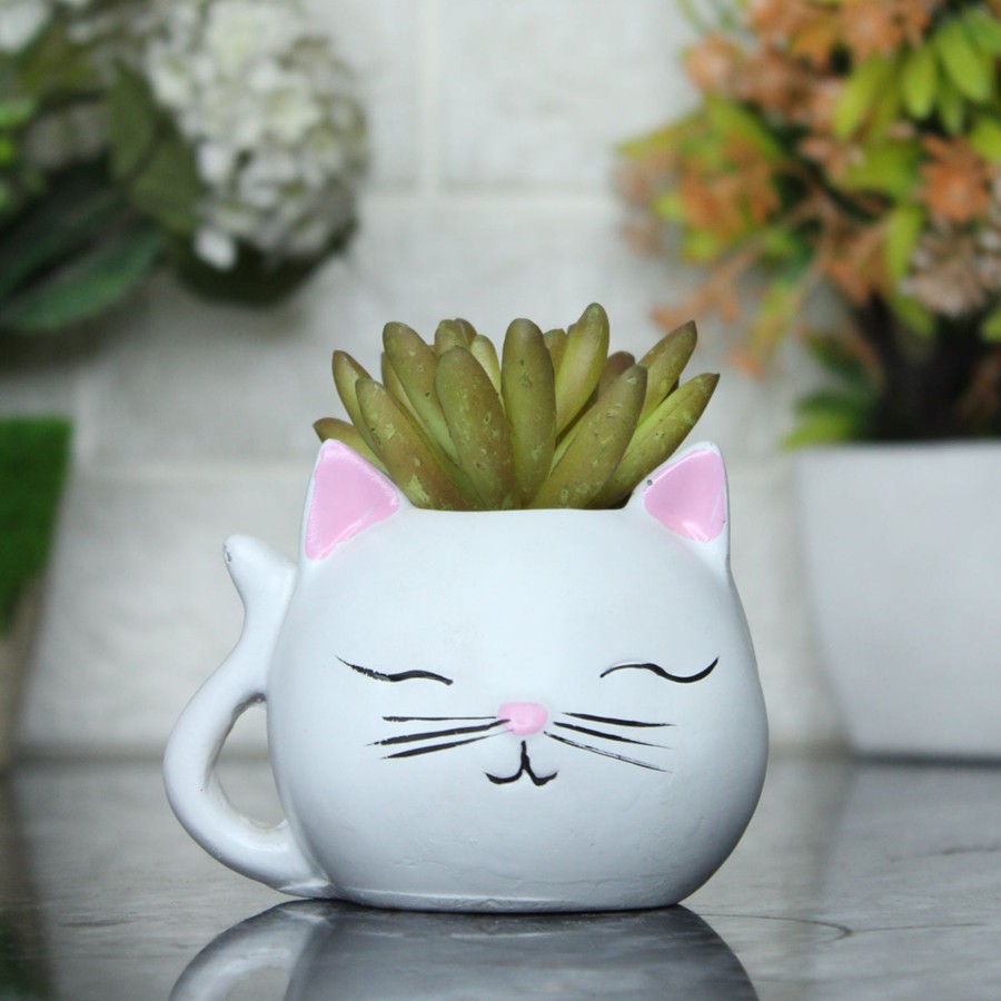 Garden Planters Wonderland | Small Kitty Succulent Pot For Home Decoration