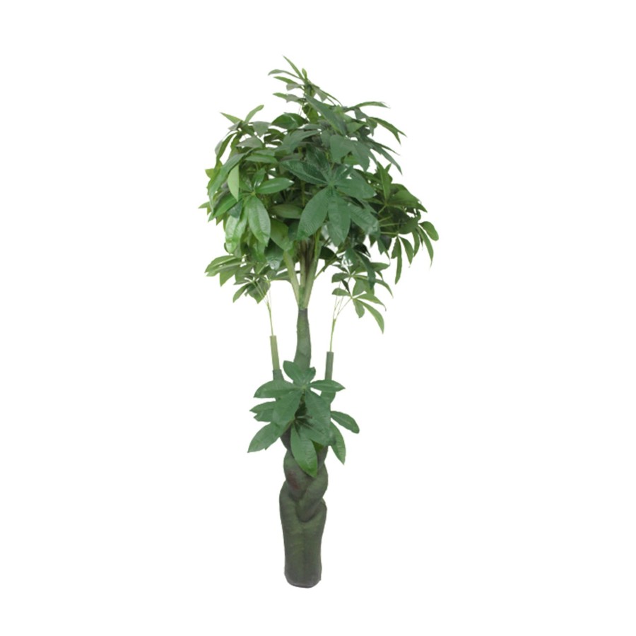 Artificial Turf Plants Wonderland | Wonderland Artificial Mango Tree 5.7 Feet, Real Looking, Home Decor, Office Decoration