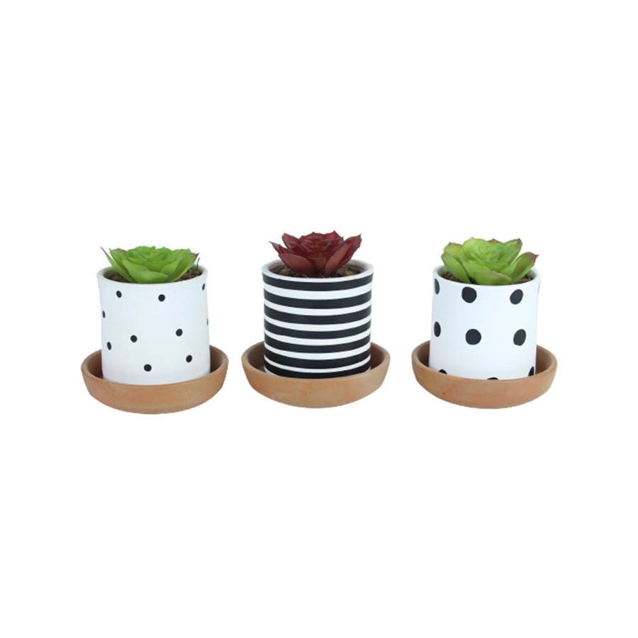 Garden Planters Wonderland | (Set Of 3) Table Top Terracotta Planters With Plate