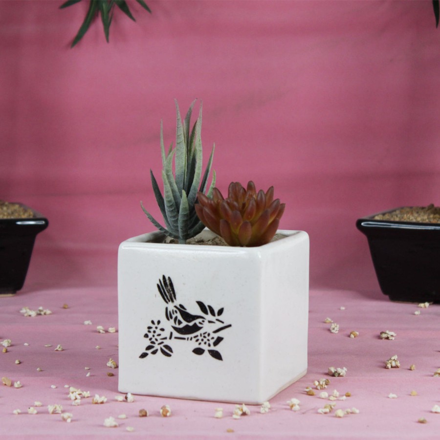 Garden Planters Wonderland | Ceramic Hand Painted Square Pot For Home Decoration