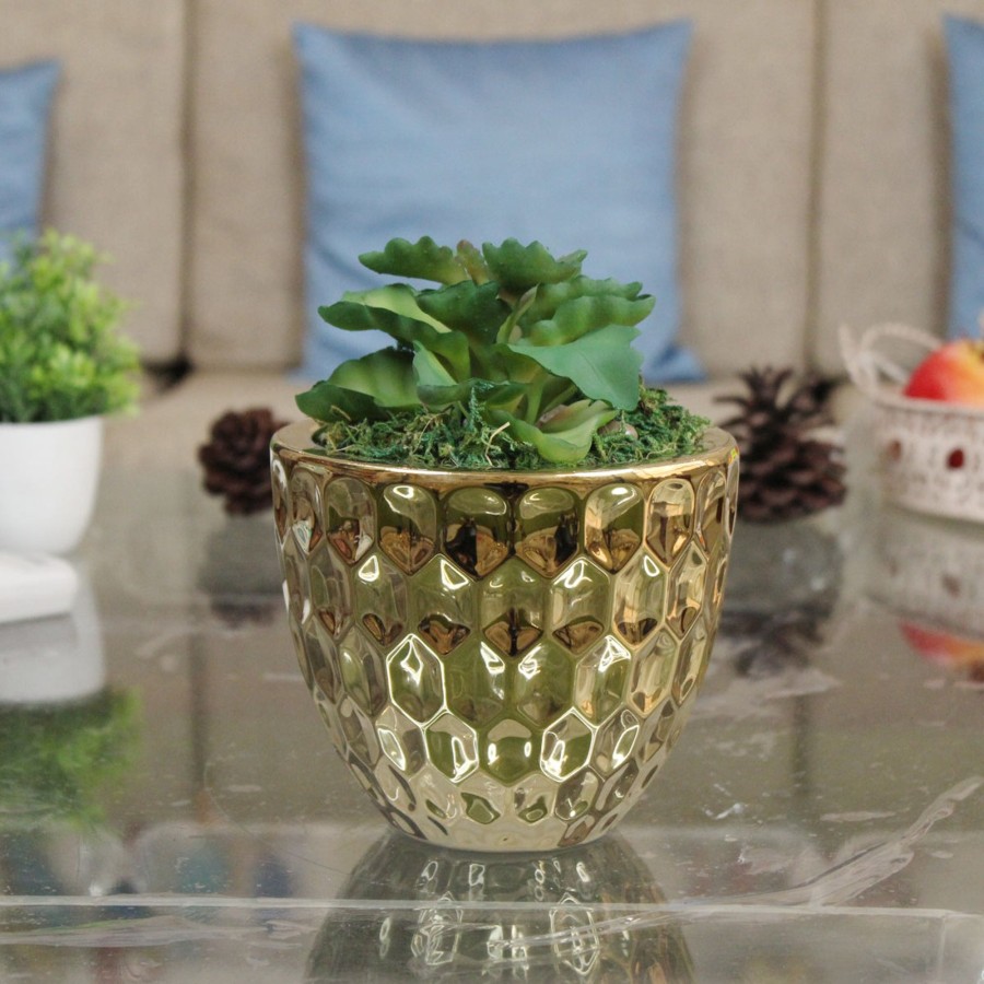 Garden Planters Wonderland | Diamond Design Pot