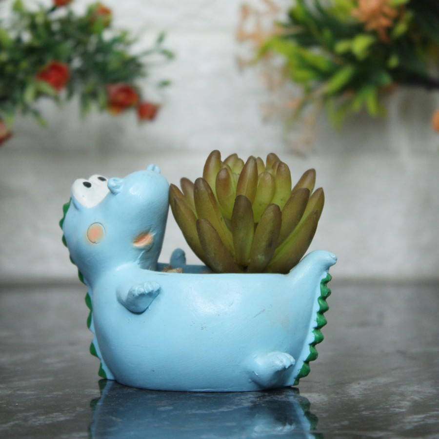 Garden Planters Wonderland | Blue Dragon Succulent Pot For Home Decoration