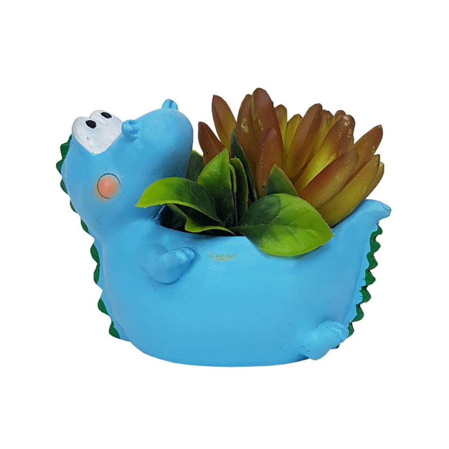 Garden Planters Wonderland | Blue Dragon Succulent Pot For Home Decoration