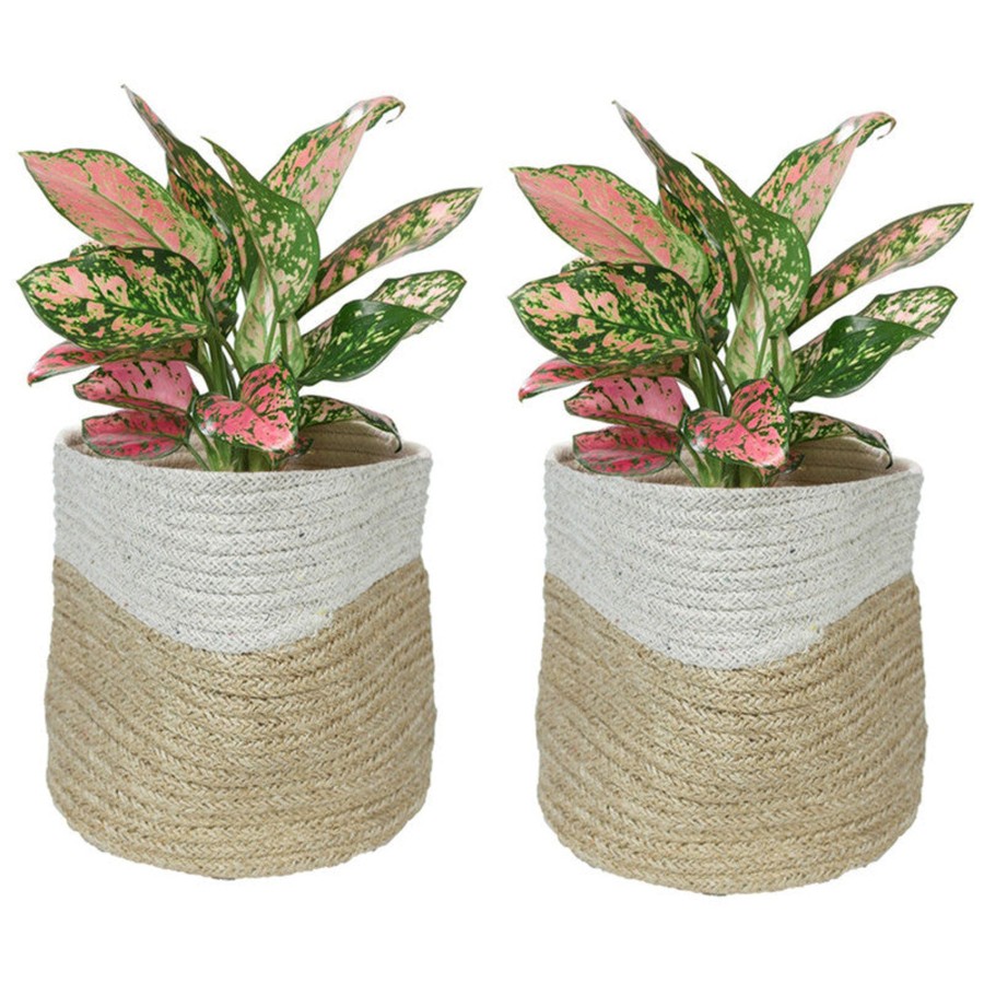 Garden Planters Wonderland | (Set Of 2) Jute Bag Planter For Home Decoration (Small)