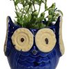 Garden Planters Wonderland Garden Arts and Craft | Owl Ceramic Planter (Blue) For Home Decor