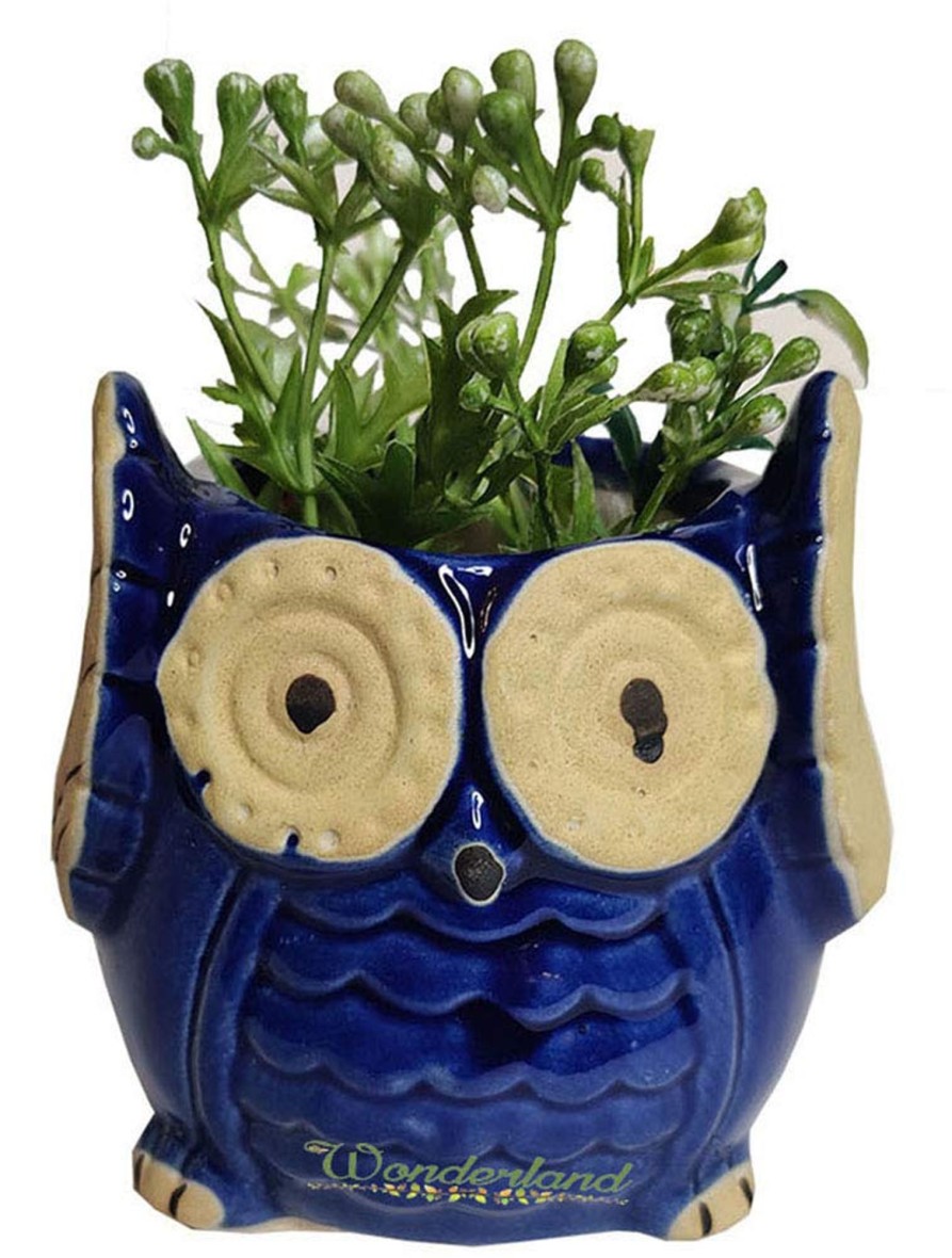 Garden Planters Wonderland Garden Arts and Craft | Owl Ceramic Planter (Blue) For Home Decor