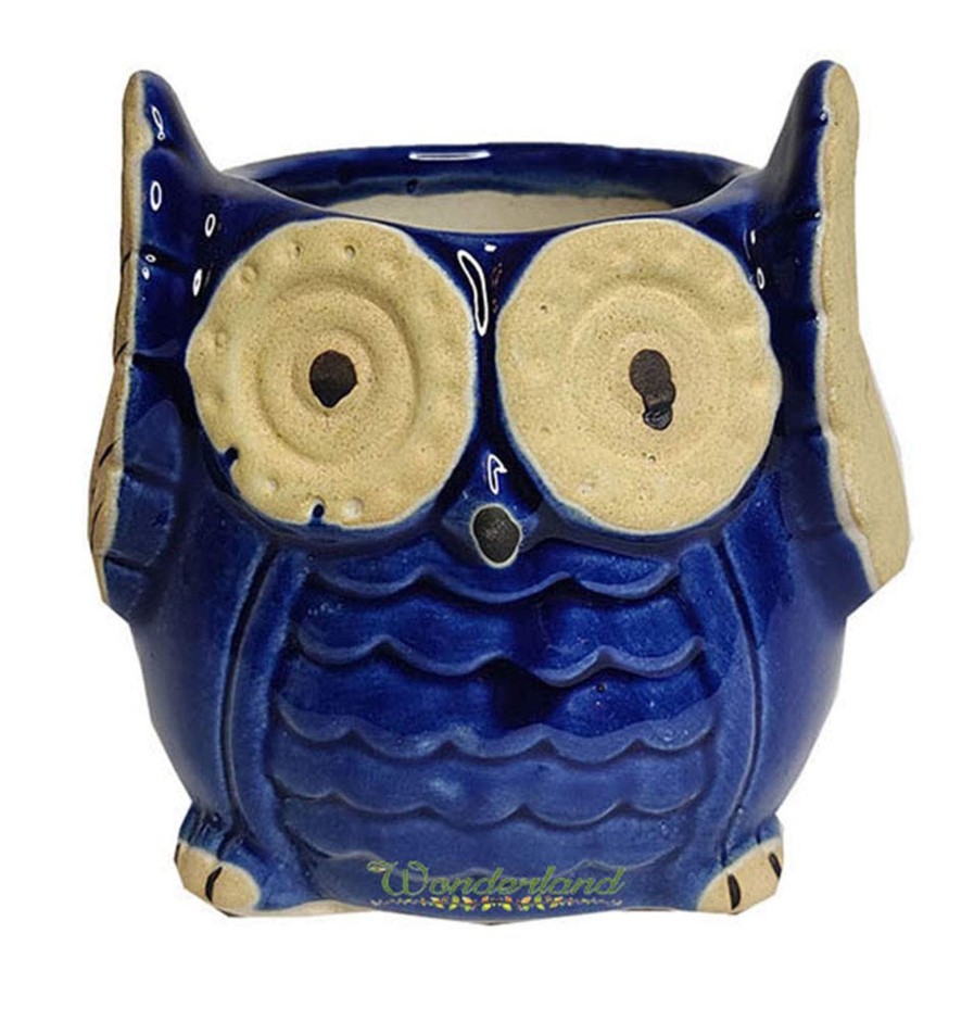 Garden Planters Wonderland Garden Arts and Craft | Owl Ceramic Planter (Blue) For Home Decor