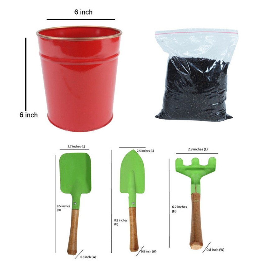 Kids Wonderland | Diy Gardening Kit (Red Pot With Tools & Soil)