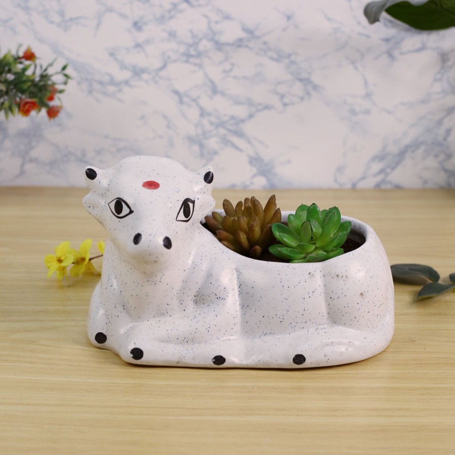 Garden Planters Wonderland | Ceramic Cow Planter For Home, Garden And Balcony Decoration