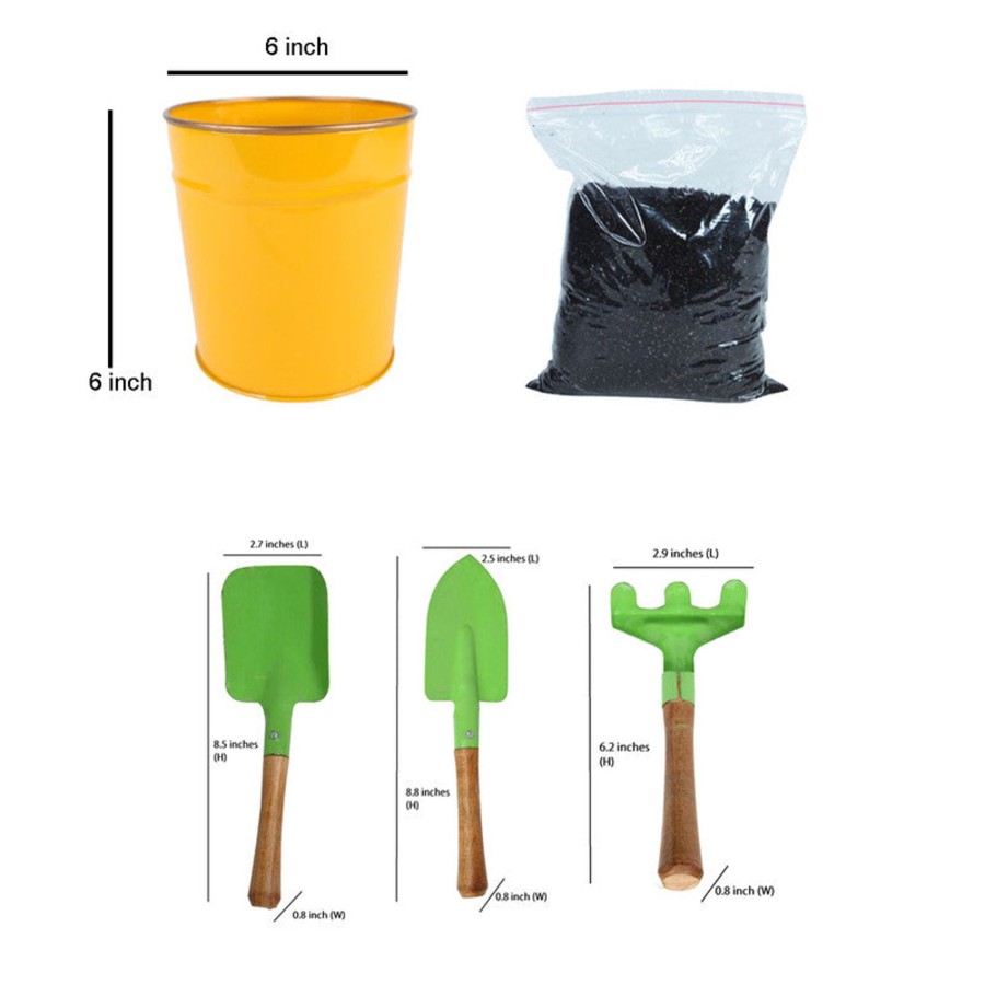 Kids Wonderland | Wonderland Combo Diy Gardening Kit (Yellow Pot With Tools & Soil)