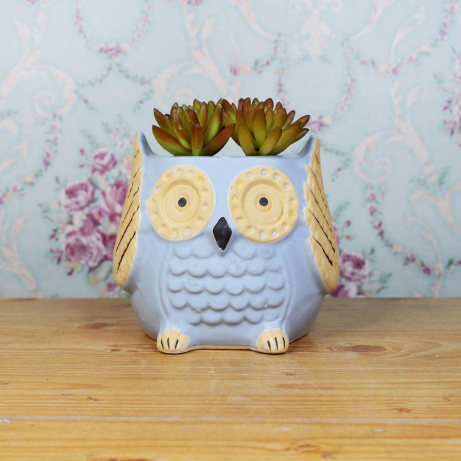 Garden Planters Wonderland | Medium Owl Ceramic Pot For Home Decoration (Light Blue)