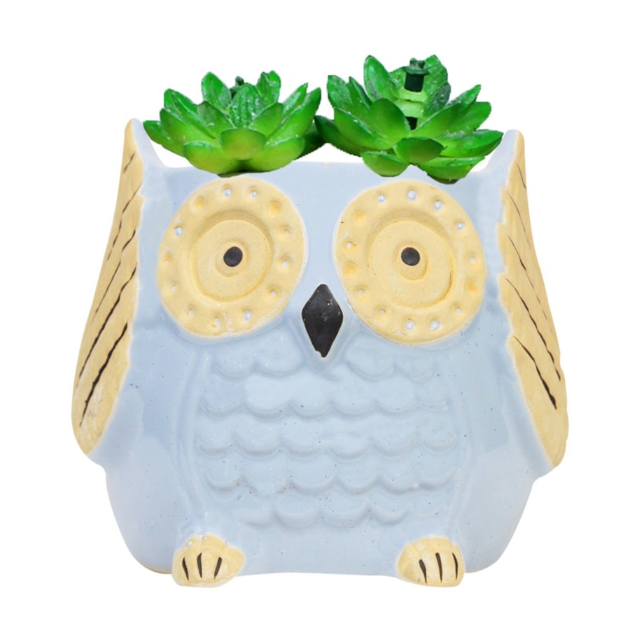 Garden Planters Wonderland | Medium Owl Ceramic Pot For Home Decoration (Light Blue)