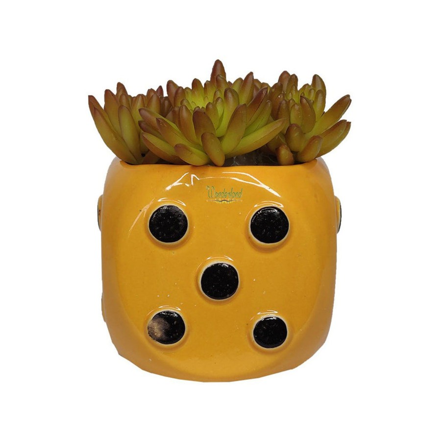 Garden Planters Wonderland | Dice Ceramic Pot For Home And Garden Decoration (Yellow)