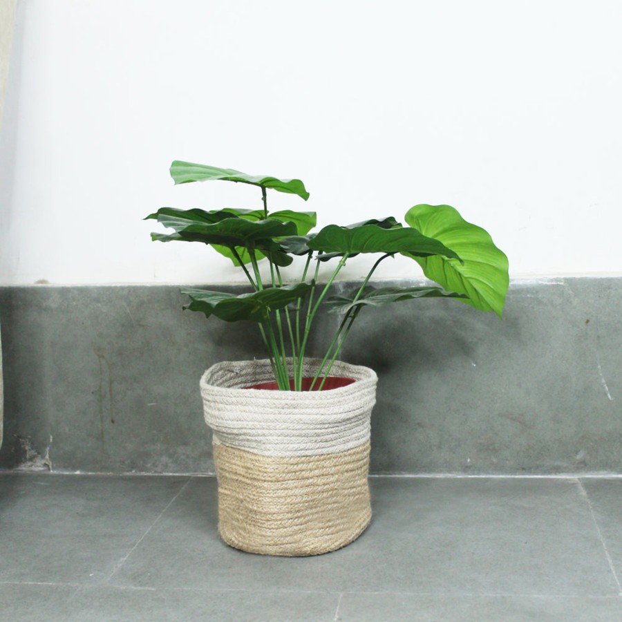 Garden Planters Wonderland | Small Jute Plant Bag For Home And Garden Decoration