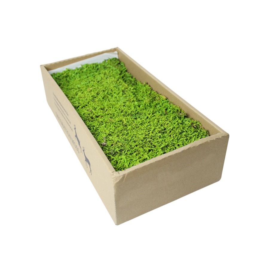 Artificial Turf Plants Wonderland | Dried Moss For Tray Gardening