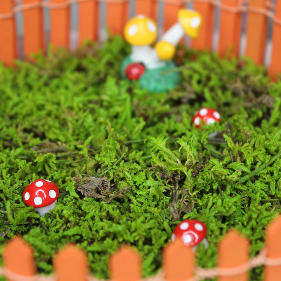 Artificial Turf Plants Wonderland | Dried Moss For Tray Gardening