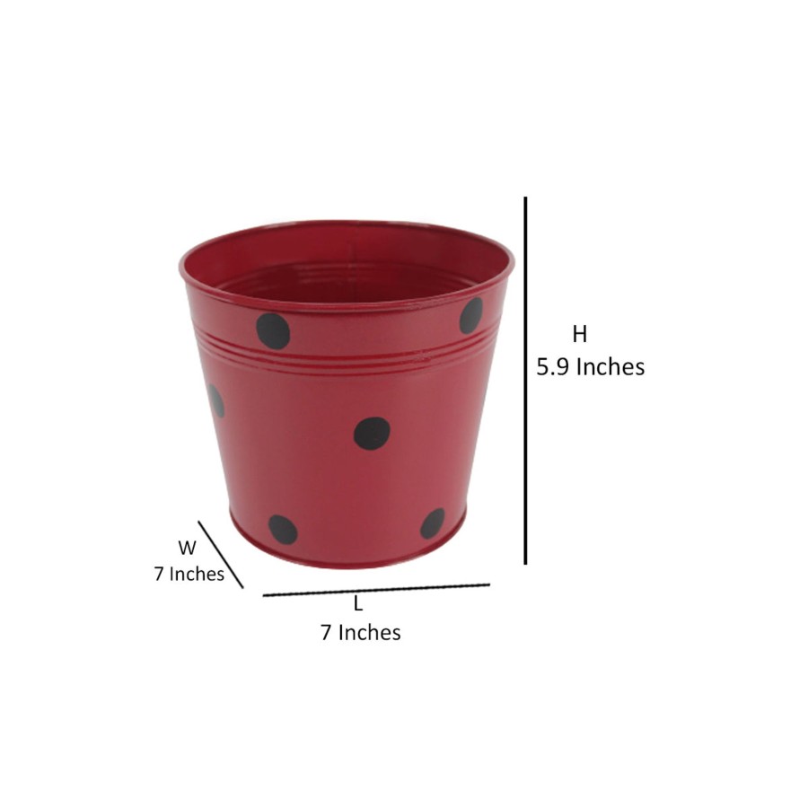 Garden Planters Wonderland | Wonderland ( Set Of 3) Dotted Metal Pot