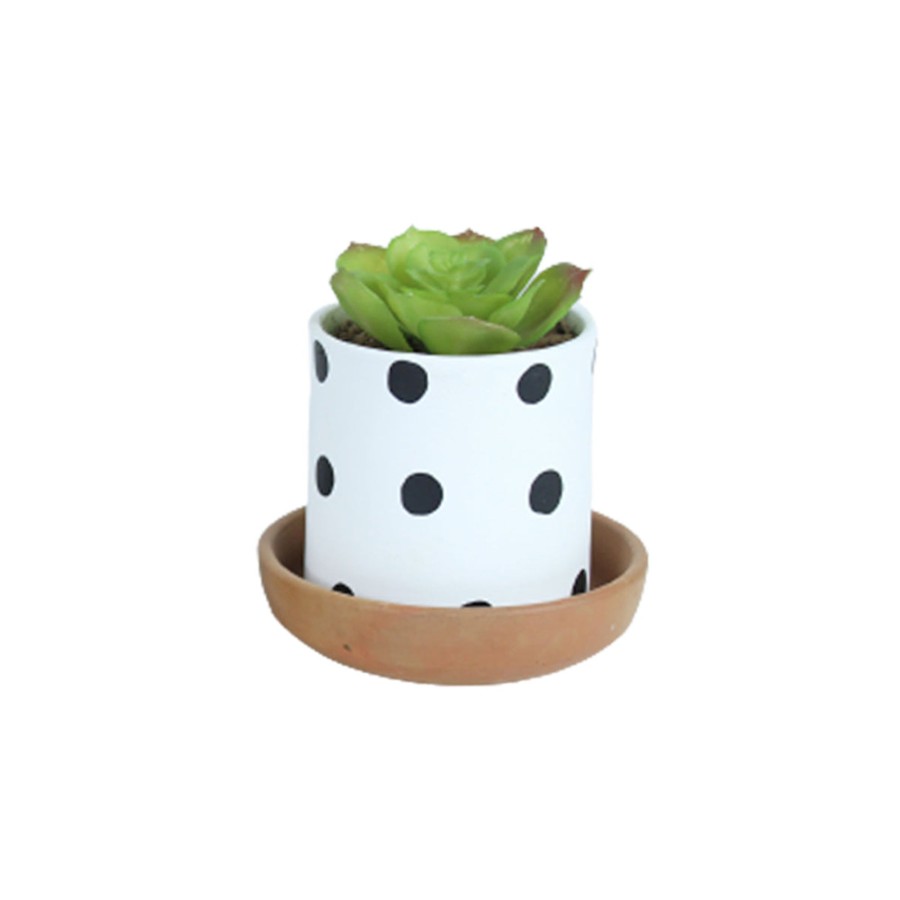 Garden Planters Wonderland | 4 Inch Table Top Terracotta Planters With Plate