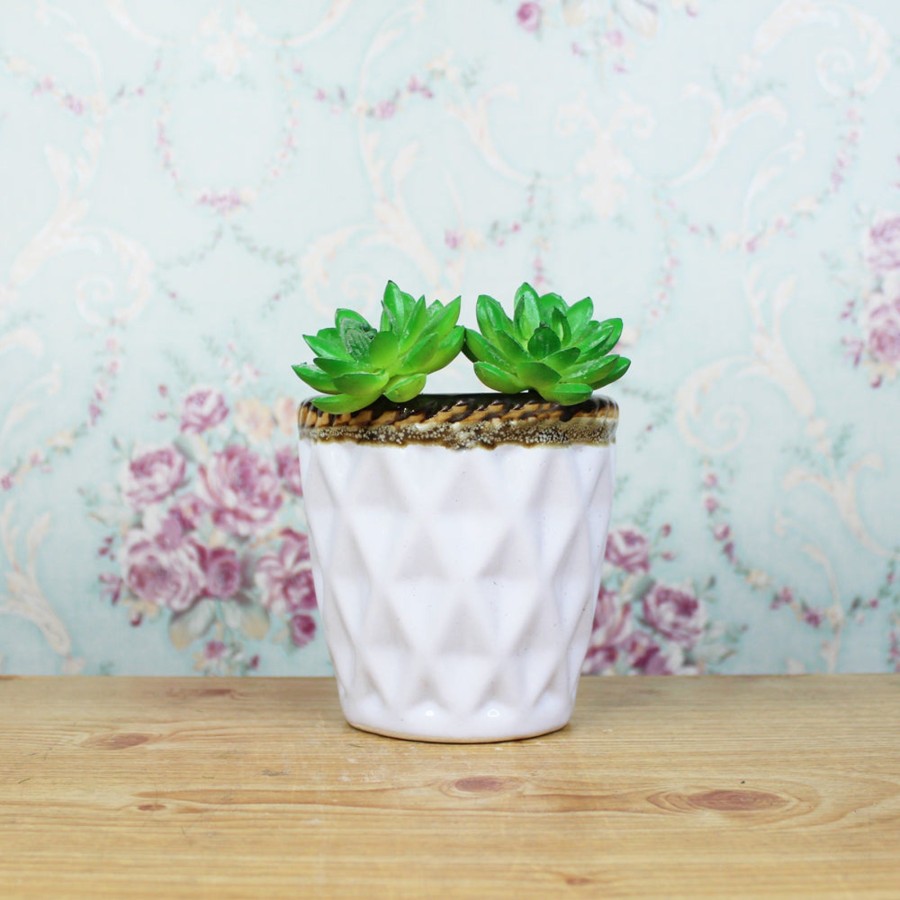 Garden Planters Wonderland | Ceramic Line Pot For Home And Garden Decoration (White)