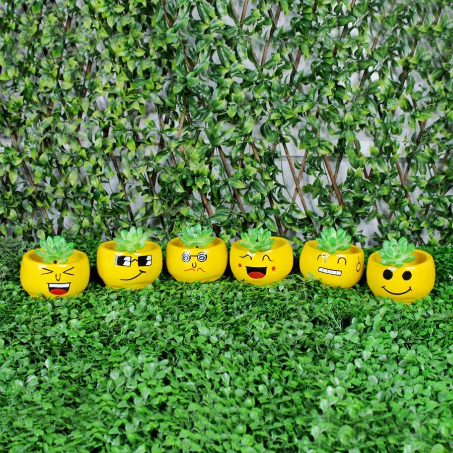 Garden Planters Wonderland | (Set Of 6) Smiley Face Succulents Pot For Home Decoration