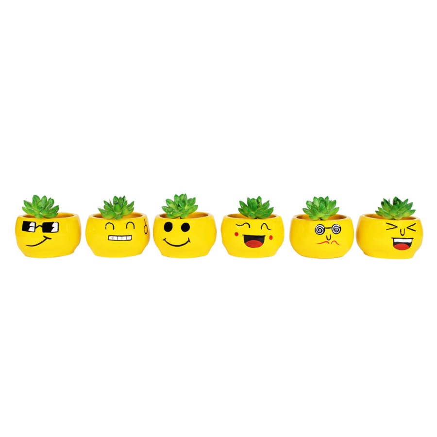 Garden Planters Wonderland | (Set Of 6) Smiley Face Succulents Pot For Home Decoration