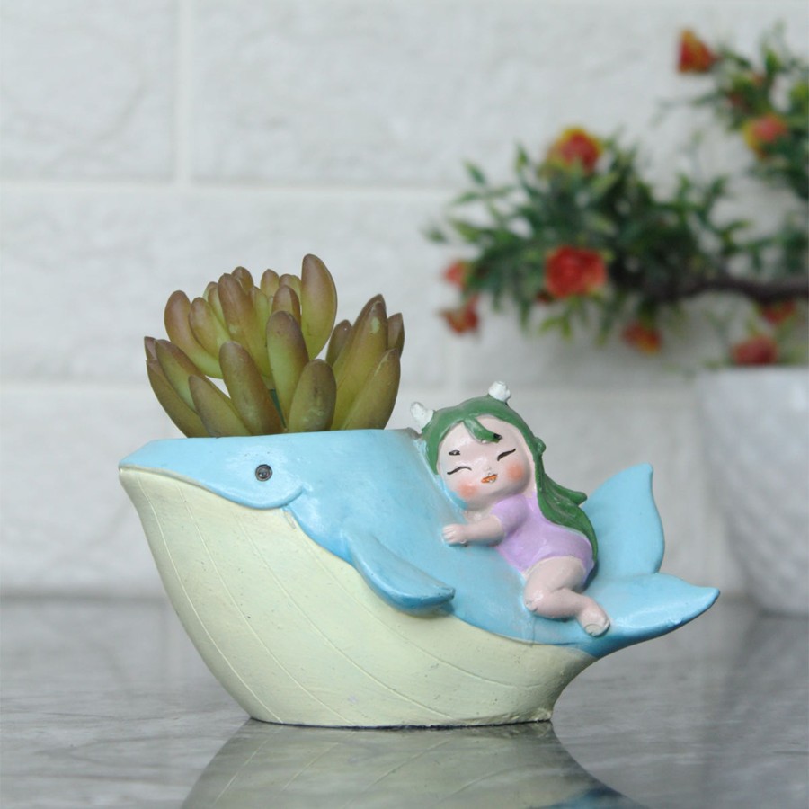 Garden Planters Wonderland | Whale Succulent Pot For Home Decoration