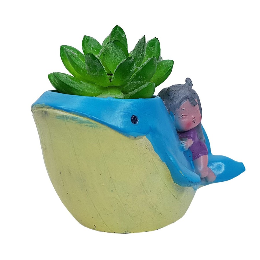 Garden Planters Wonderland | Whale Succulent Pot For Home Decoration