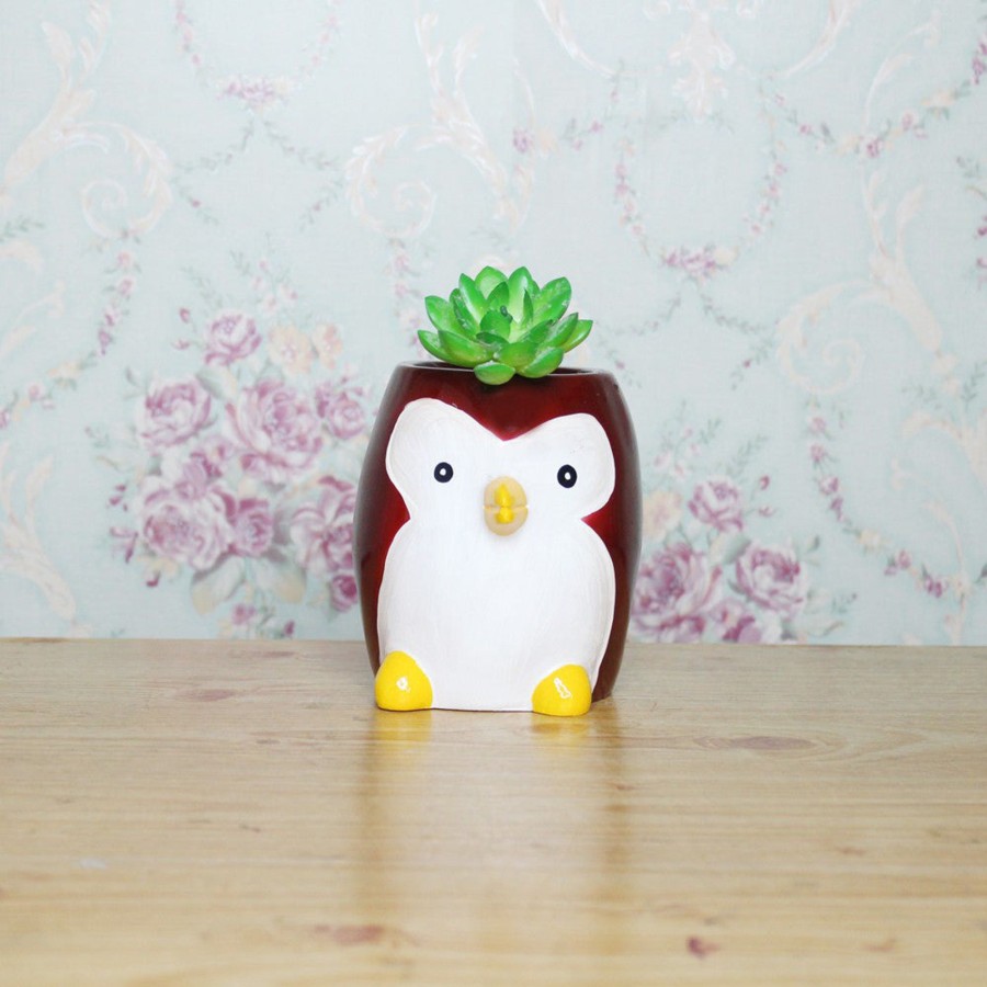 Garden Planters Wonderland | Penguin Succulent Pot For Home And Balcony Decoration