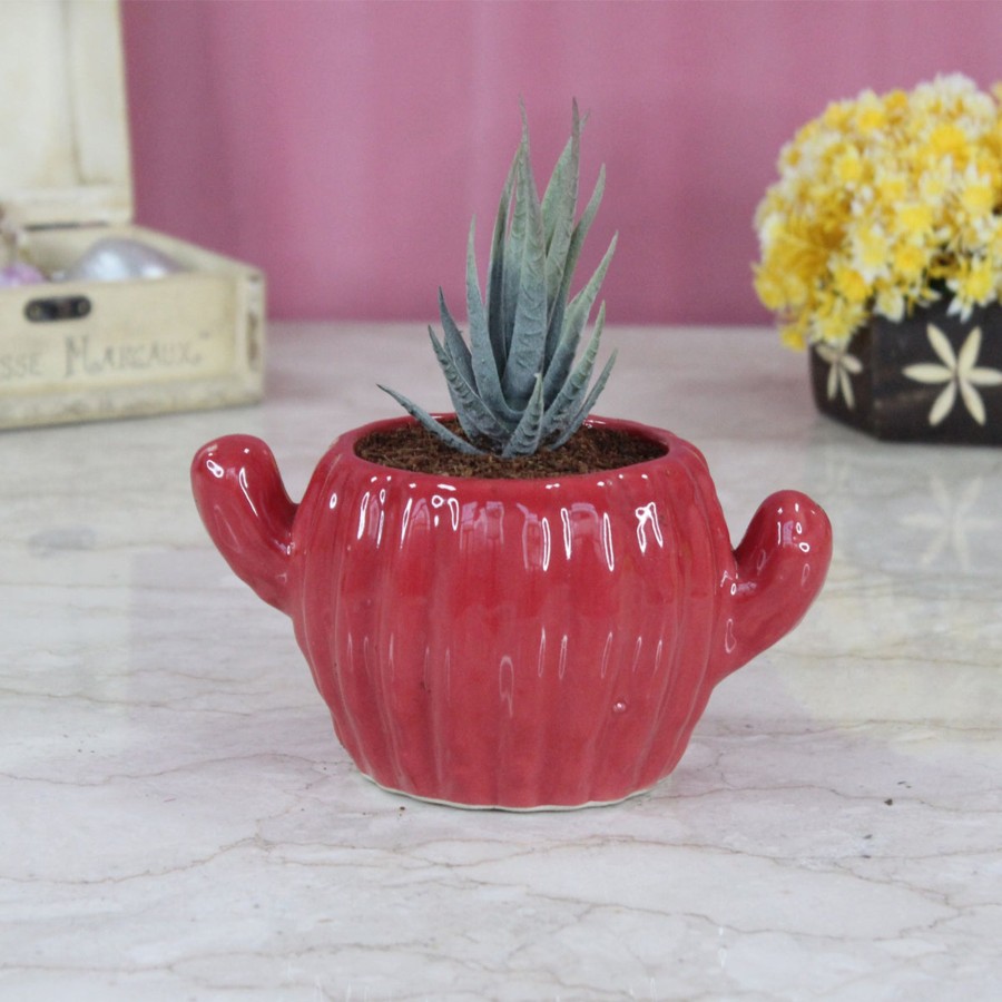 Garden Planters Wonderland | Wonderland Ceramic Table Top Cactus Shape Pot In Red