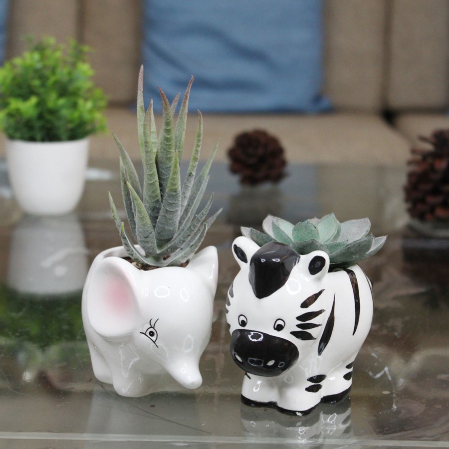 Garden Planters Wonderland | Imported Set Of 2 Ceramic Zebra And Elephant Small Size Plant Pot