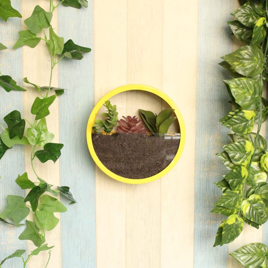 Garden Planters Wonderland | Medium Yellow Wall Ring Planter With Glass Front