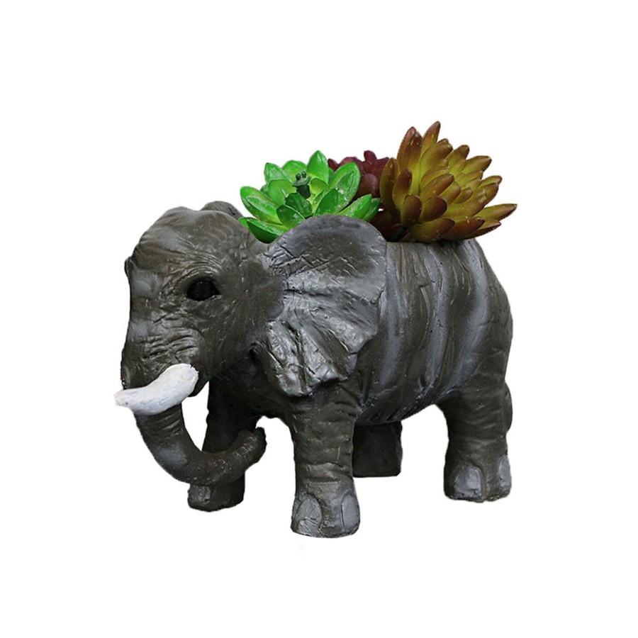 Garden Planters Wonderland | Elephant Succulent Pot For Home And Balcony Decoration