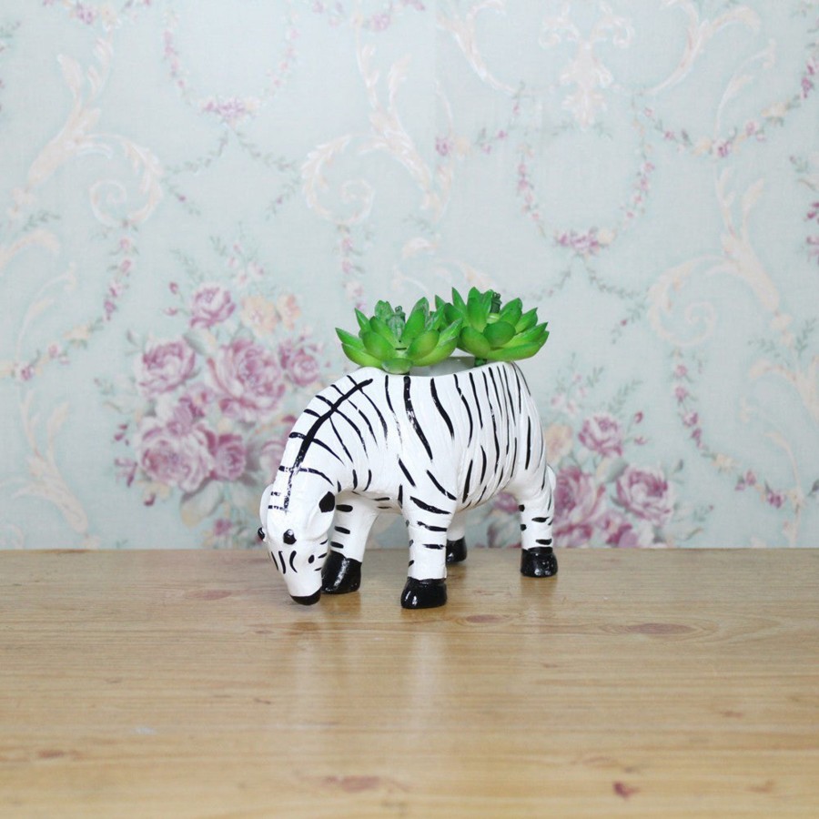 Garden Planters Wonderland | Small Zebra Succulent Pot For Home Decoration