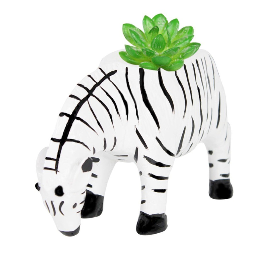 Garden Planters Wonderland | Small Zebra Succulent Pot For Home Decoration