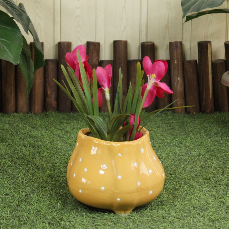 Garden Planters Wonderland | Ceramic Big Flower Shape Pot (Yellow)