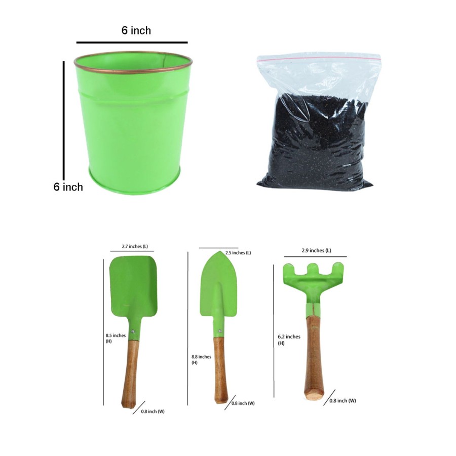 Kids Wonderland | Diy Gardening Kit (Green Pot With Tools & Soil)