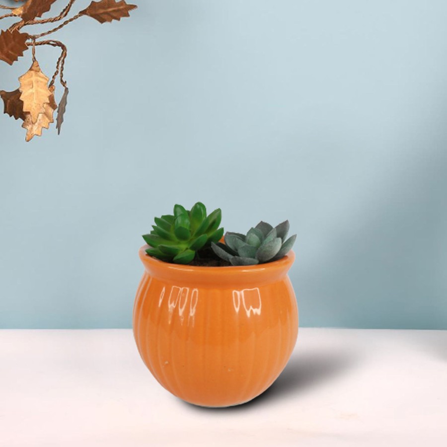 Garden Planters Wonderland Garden Arts and Craft | Ceramic Matka Flower Pot (Orange)