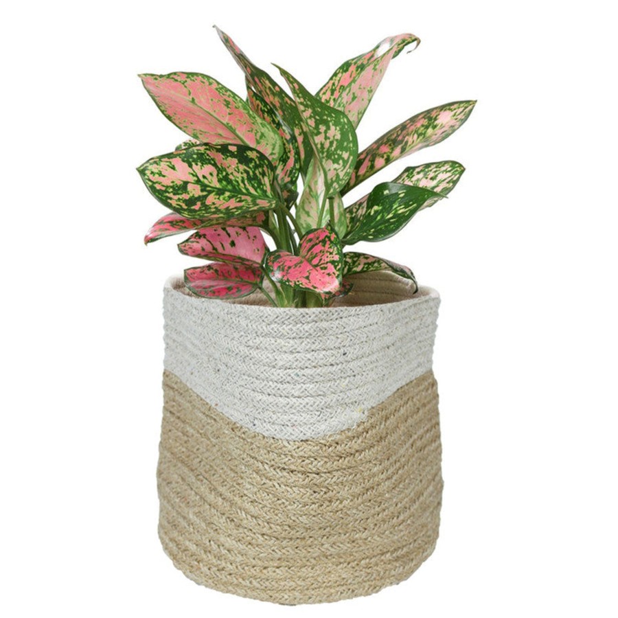 Garden Planters Wonderland | Big Jute Plant Bag For Home And Garden Decoration